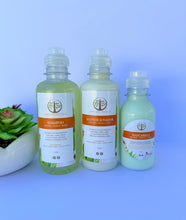 Load image into Gallery viewer, Kit Jengibre 🫚 Cebolla 🧅 & Sabila 🪴