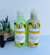 Load image into Gallery viewer, Kit Aguacate 🥑
